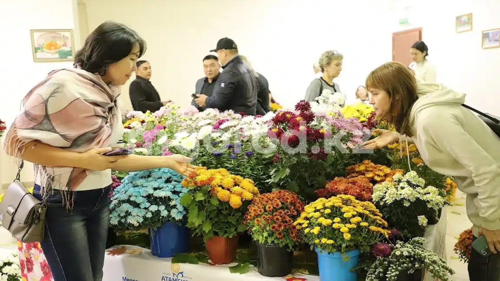 В Уральске прошел фестиваль хризантем